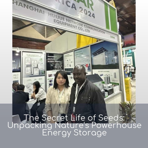 The Secret Life of Seeds: Unpacking Nature's Powerhouse Energy Storage